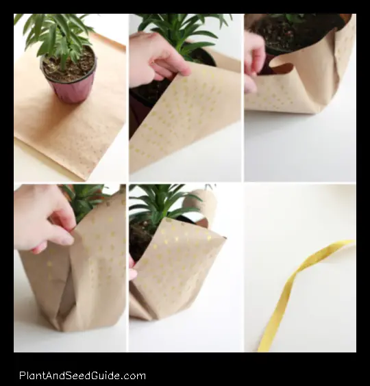 how to wrap a potted plant