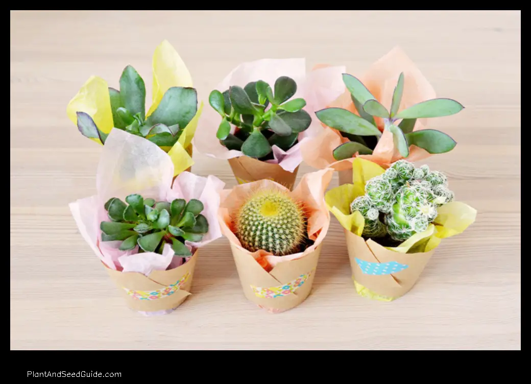 how to wrap a potted plant