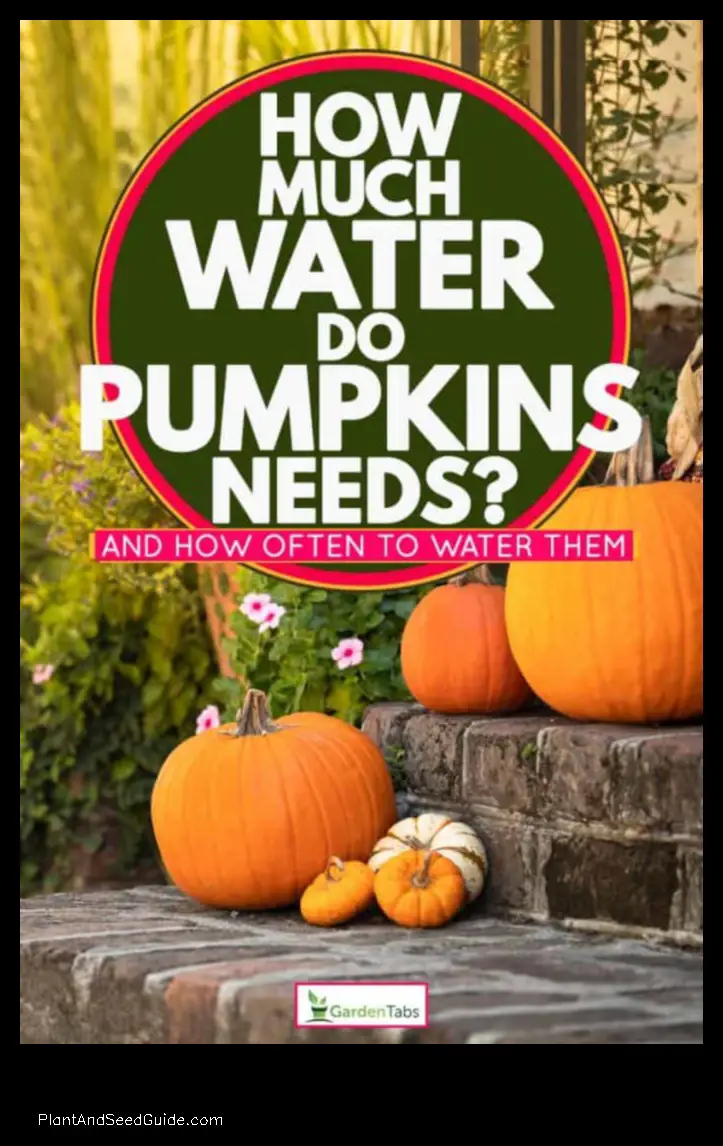 how much water does a pumpkin plant need per day