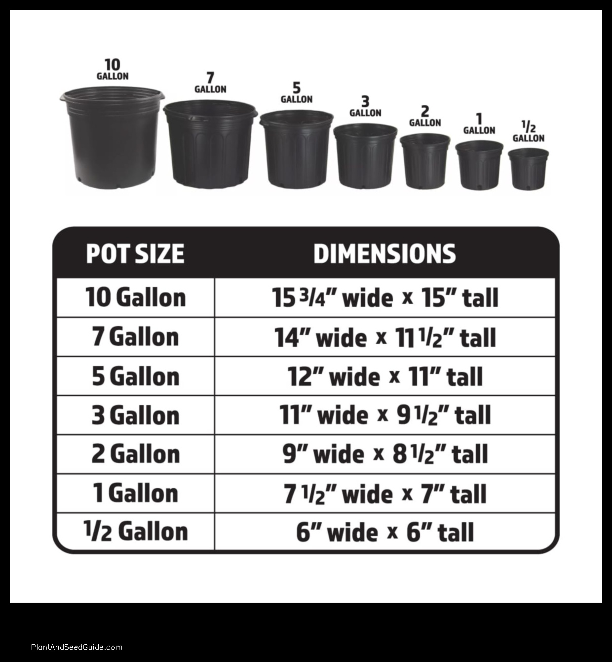 How Much Should You Charge to Plant a 3-Gallon Plant - Plant And Seed Guide