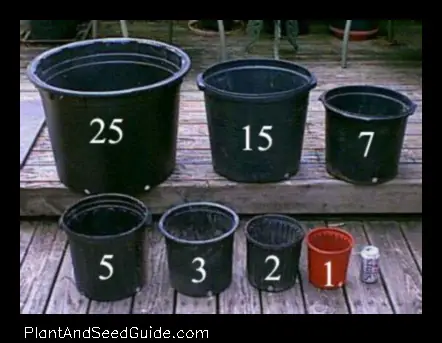 how much to charge to plant a 3 gallon plant