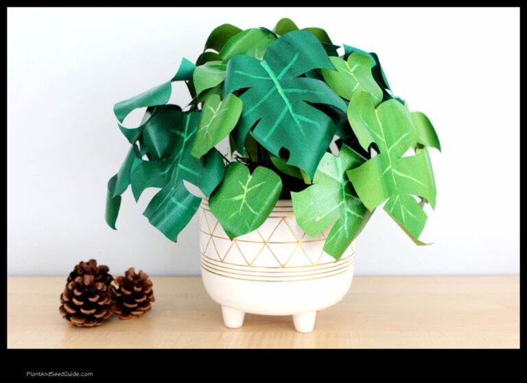 How to Make a Paper Plant Thats Both Eco Friendly and Beautiful