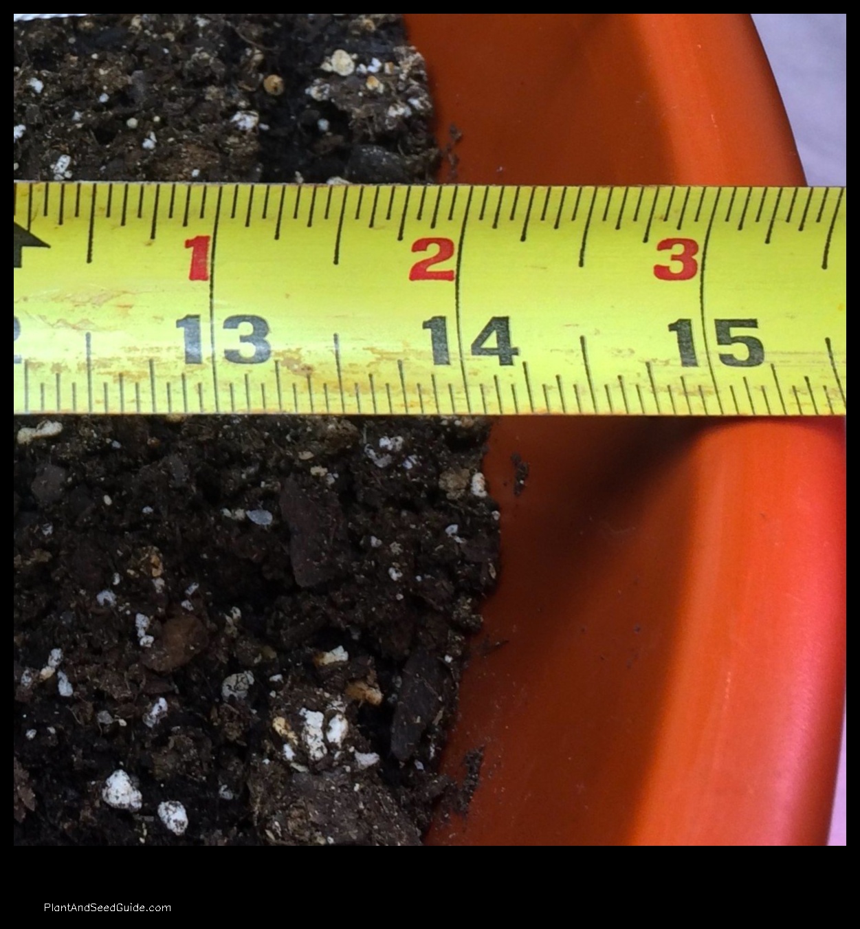 how to measure a pot for a plant
