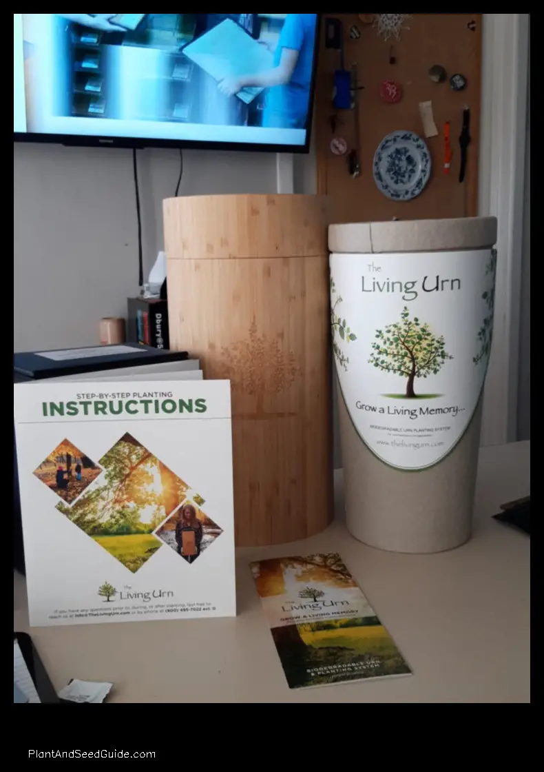 living urn how to plant