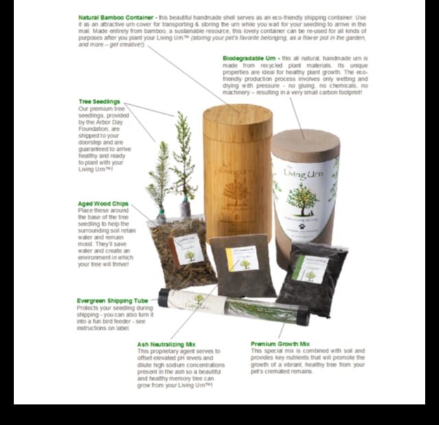 How to Plant a Living Urn a Step by Step Guide