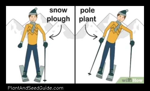 how to pole plant skiing