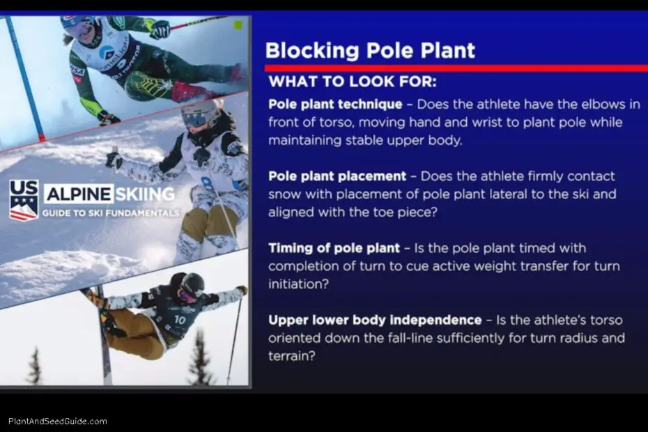 How to Pole Plant Skiing a Step by Step Guide