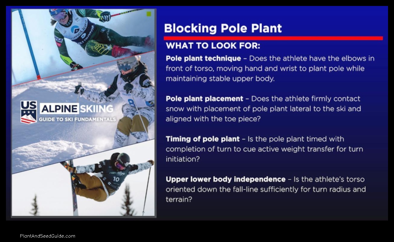 how to pole plant skiing
