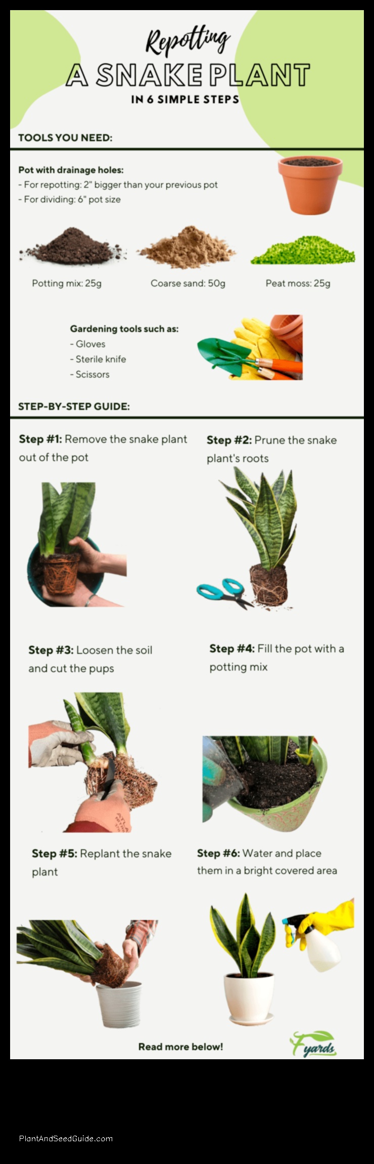 how to repot snake plant with root rot