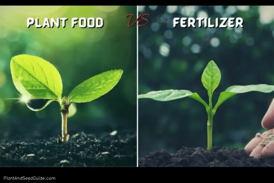 Plant Food Vs. Fertilizer Which is Better for Your Plants