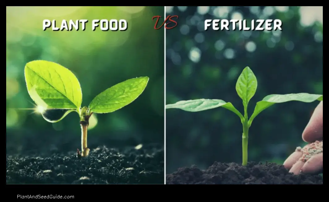 which is better plant food or fertilizer