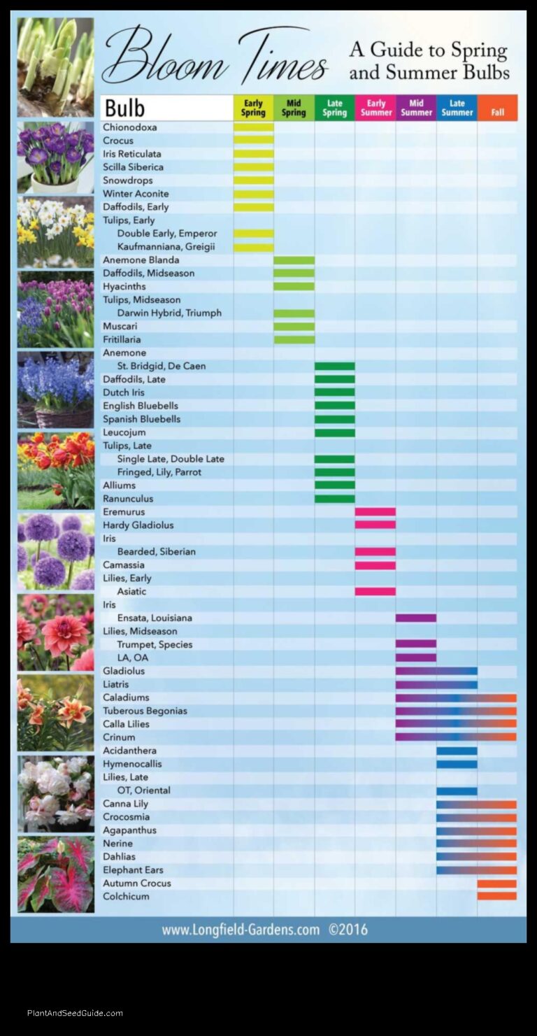 When to Plant Bulbs in Maryland A Guide for Gardeners