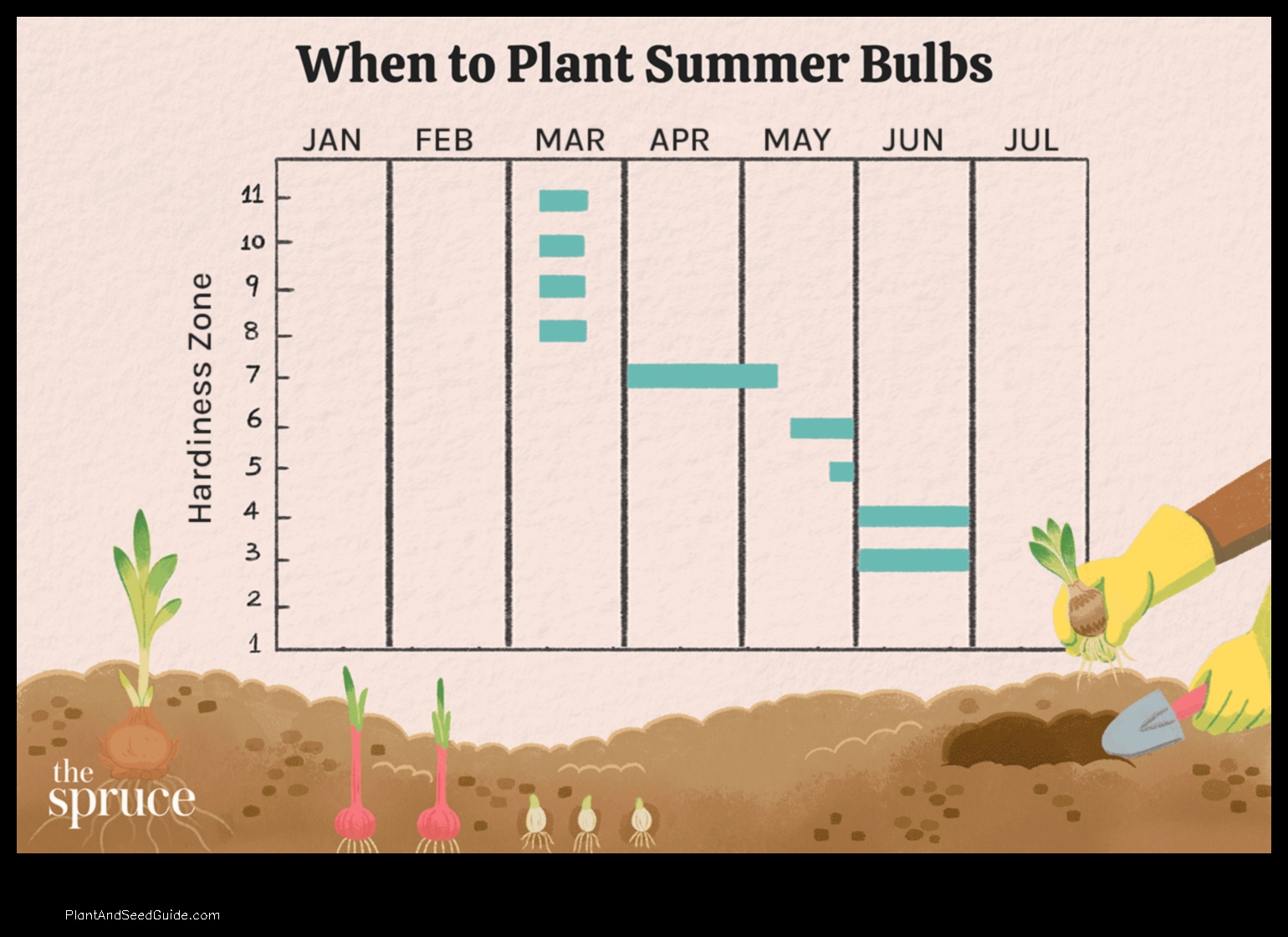 when to plant bulbs in tennessee