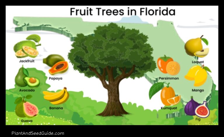 When to Plant Fruit Trees in Florida A Guide for the Home Gardener