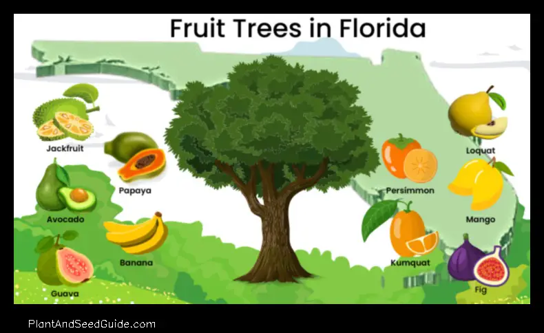 When to Plant Fruit Trees in Florida a Guide for the Home Gardener