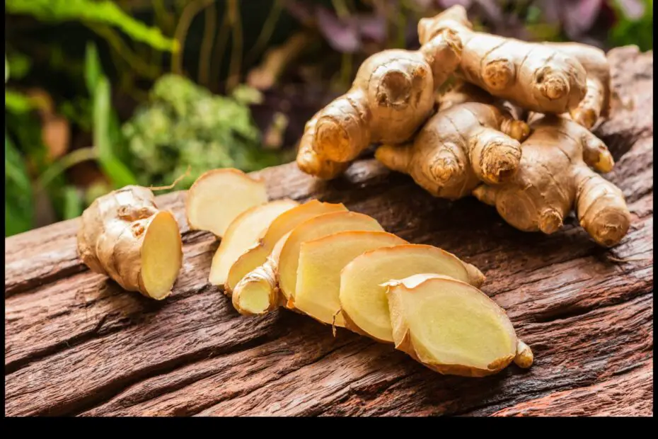 When to Plant Ginger Root Penny a Guide for Gardeners of All Levels