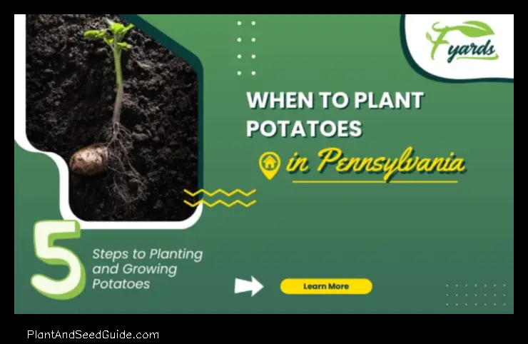 when to plant potatoes in pa