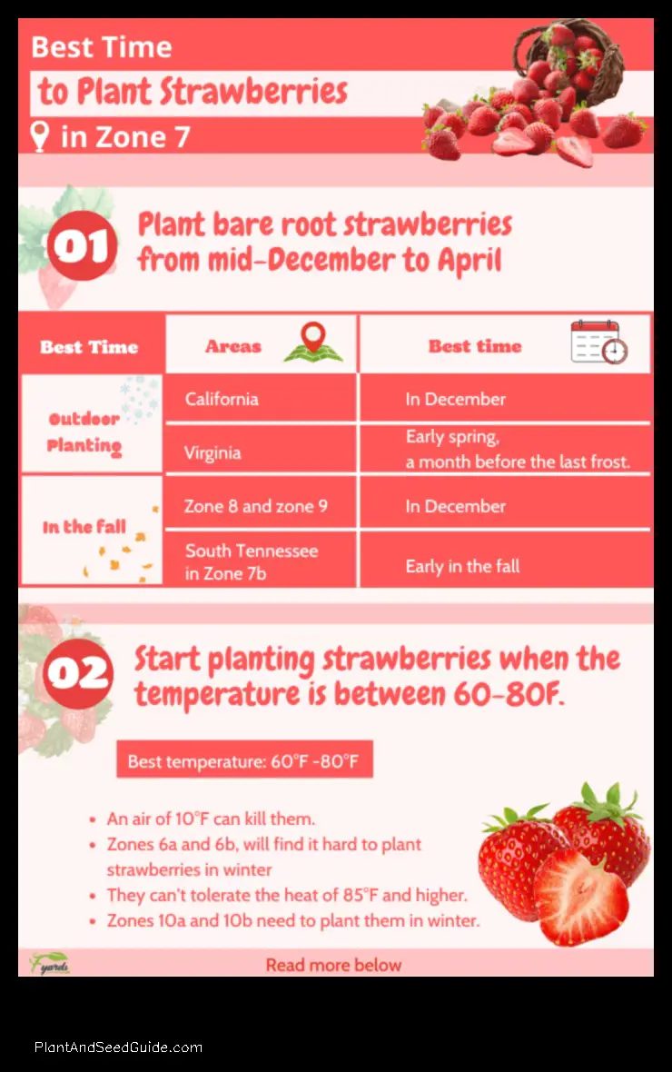 when to plant strawberries in tennessee