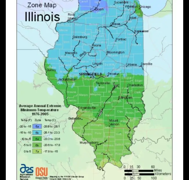 When to Plant Trees in Illinois a Guide for the Home Gardener