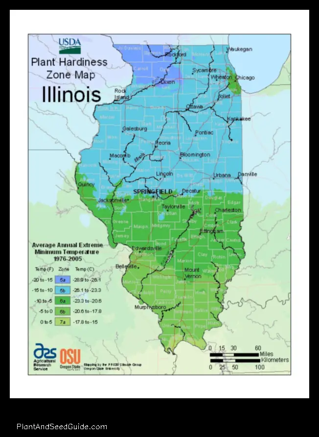 when to plant trees in illinois