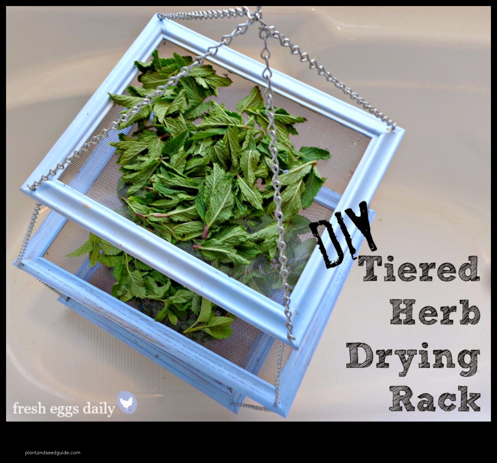 drying rack for herbs