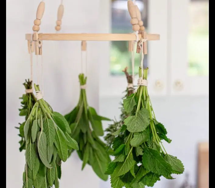 Air Dry Your Herbs with This Diy Herb Drying Rack