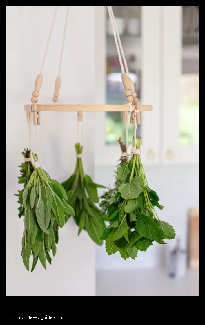 drying rack for herbs