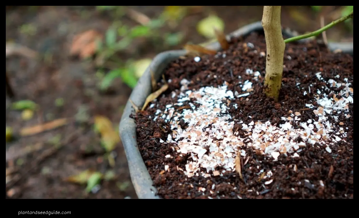 are crushed eggshells good for plants