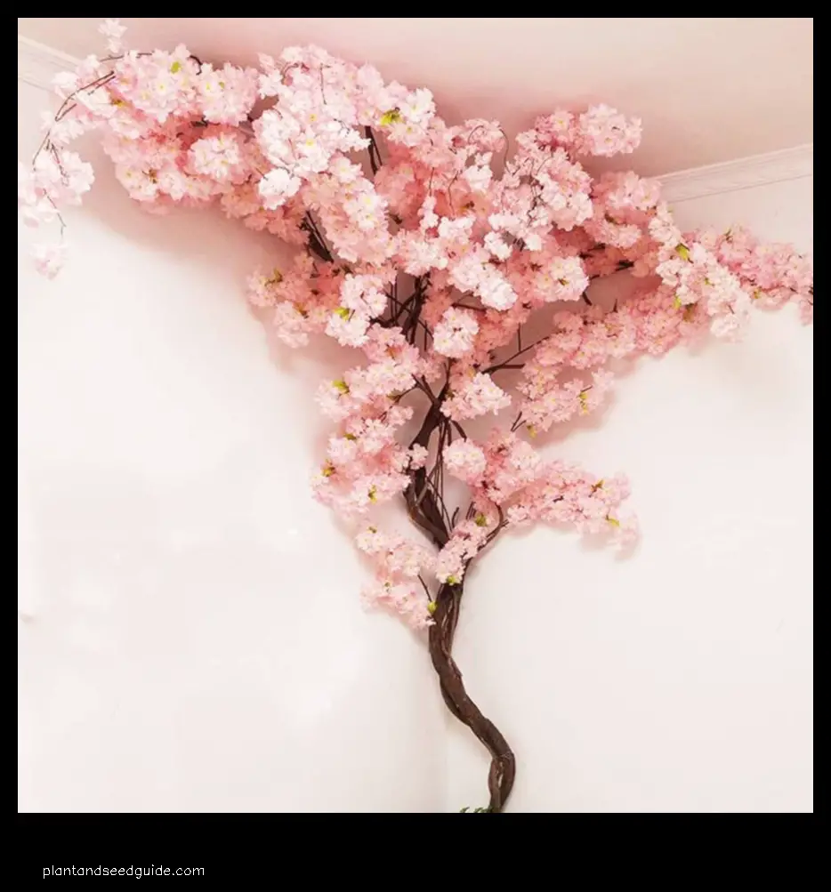 cherry blossom dried flowers