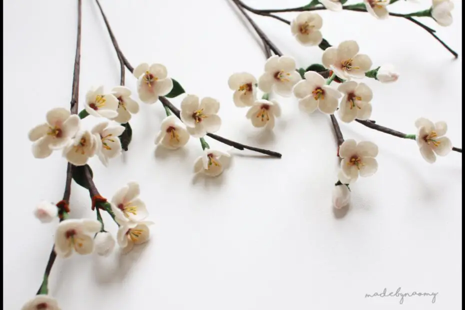 Dried Cherry Blossom Branches a Symbol of Springtime and Renewal