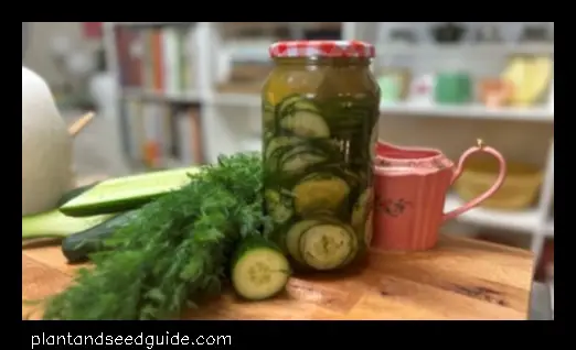 End of Garden Pickles a Creative Way to Use up Your Leftover Produce