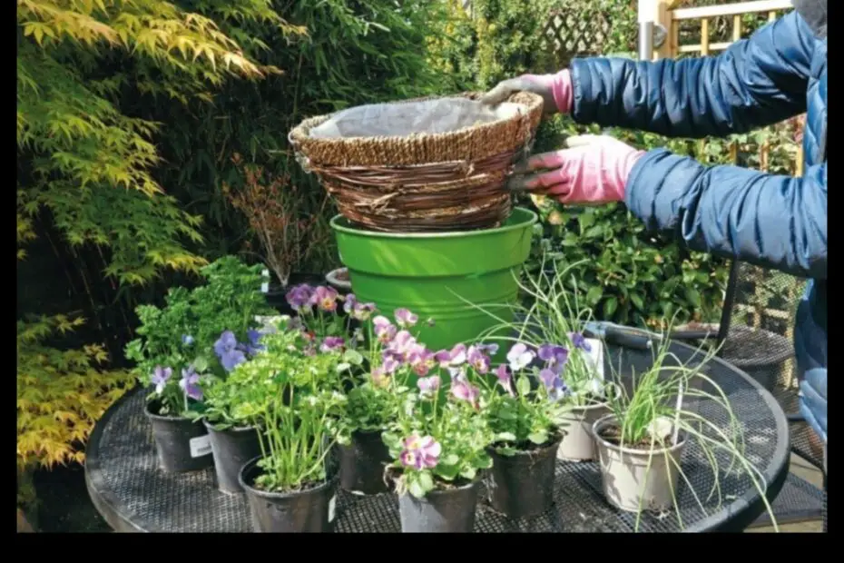 Herbs for Hanging Baskets a Guide to Growing and Enjoying