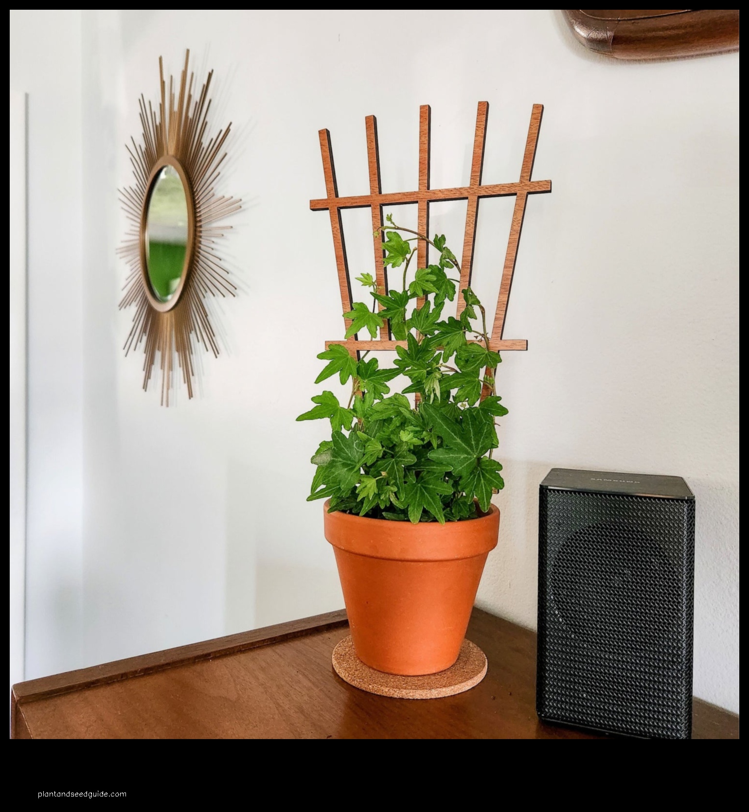 indoor potted plant trellis