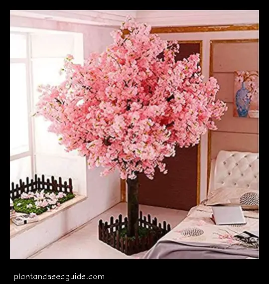 mini cherry blossom tree