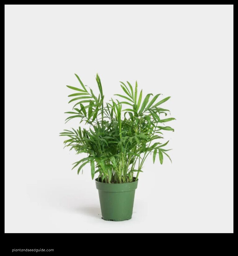 Palm Neanthe Bella A Striking and Unique Plant