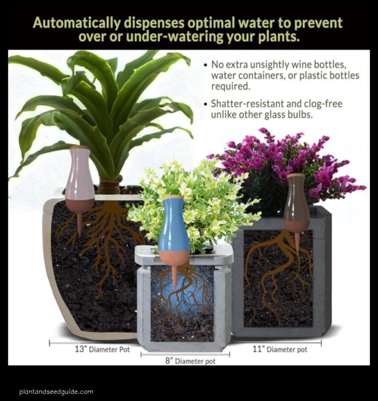 Self Watering Inserts for Large Planters Keep Your Plants Happy and Healthy