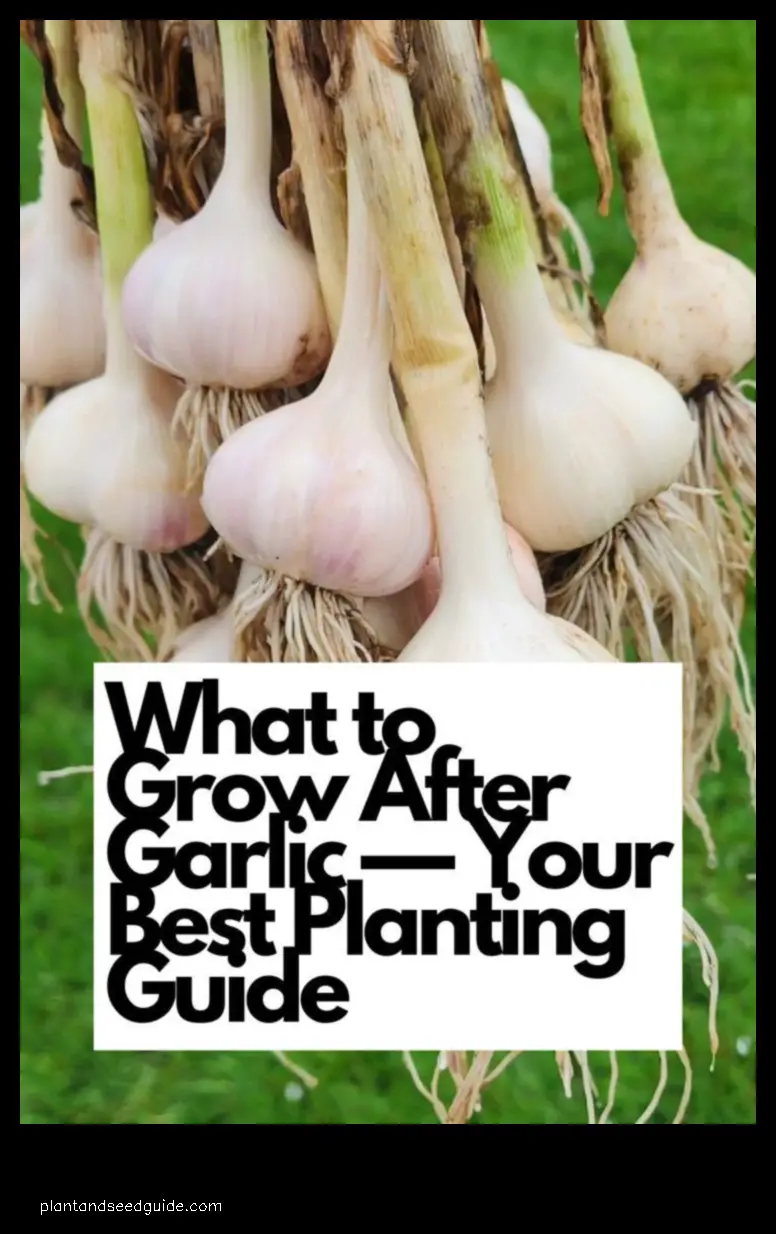 what to plant after harvesting garlic