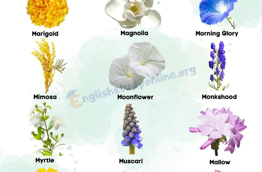 mesmerizing flowers that start with letter m