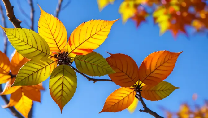 Peach Tree Leaves Turning Yellow: Causes and Solutions
