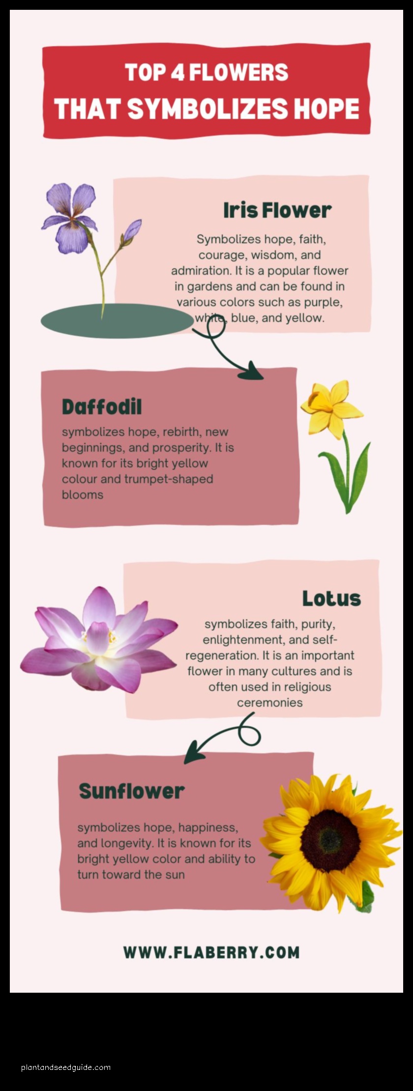 trillium flower meaning