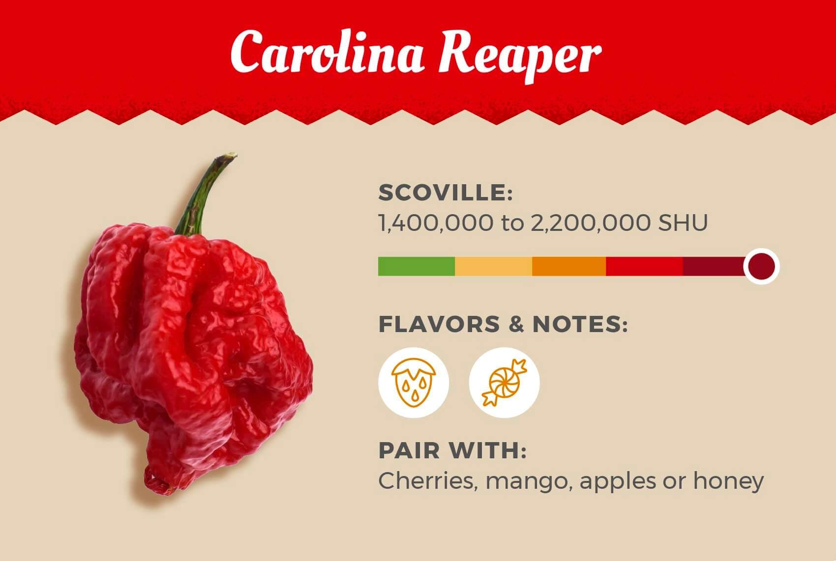 ⁤ <strong>Storing Dried Chili Peppers</strong>“><br />
<h2 id=