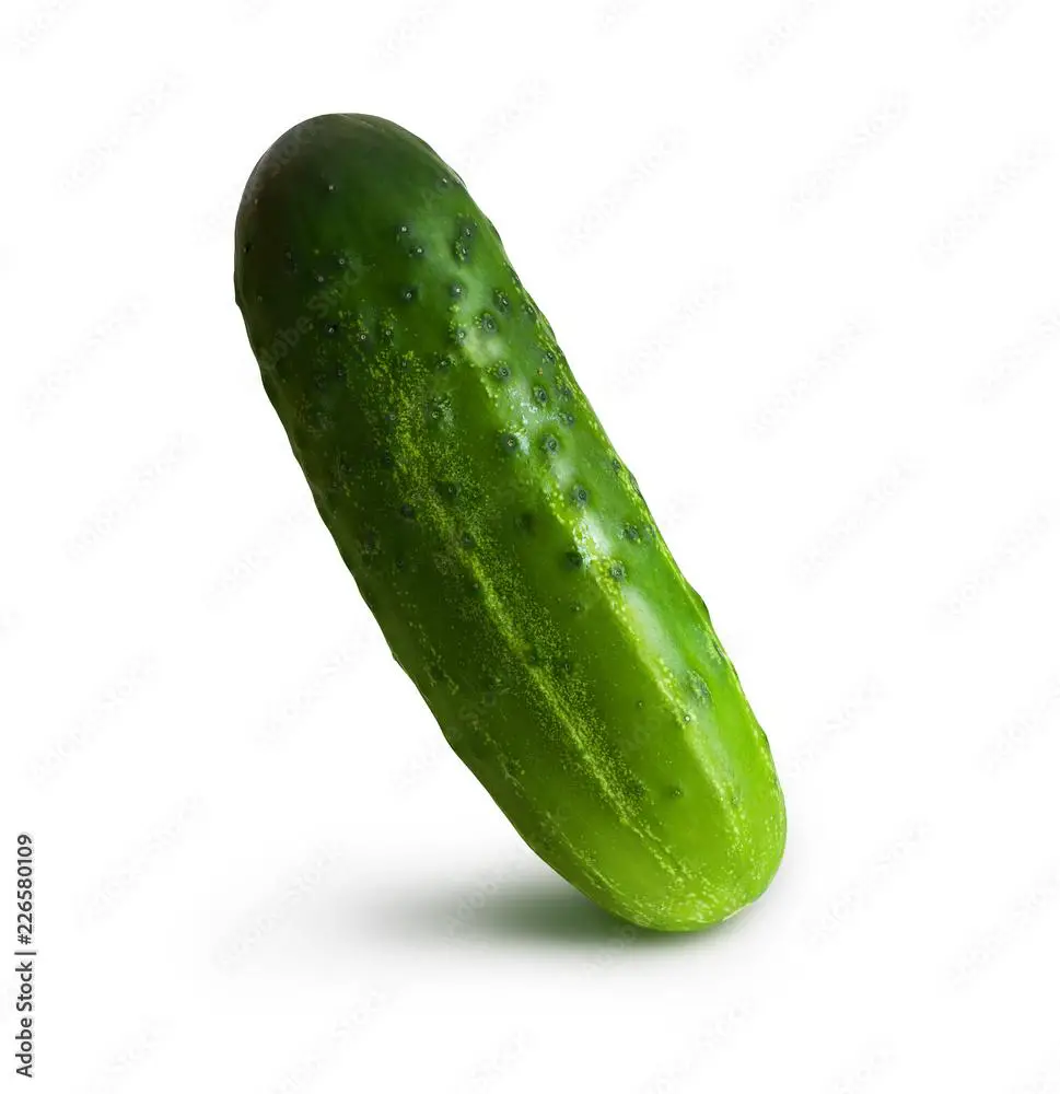  FAQs About Organic ‌Fertilizer for‌ Cucumbers