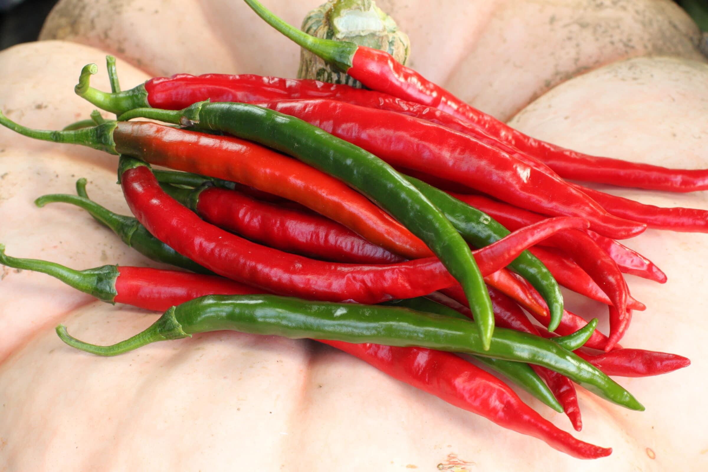  <strong>Tips for‌ Drying ⁣and Storing Chili Peppers</strong>“></p>
<h2 id=