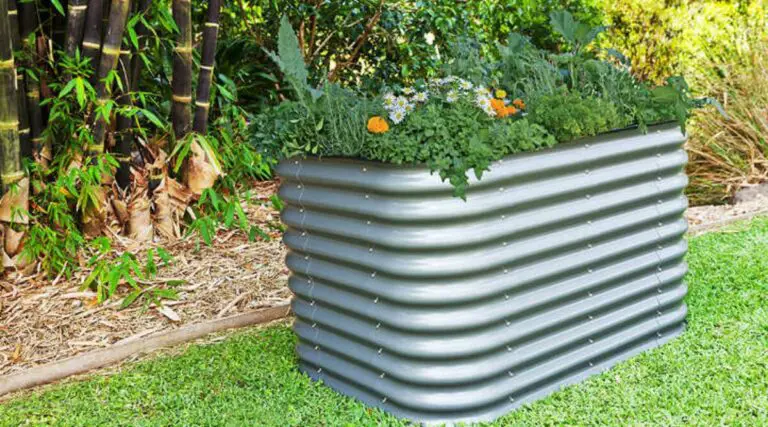 How to Fill a Tall Raised Garden Bed (10 Quick Steps) – Bed Filling Guide