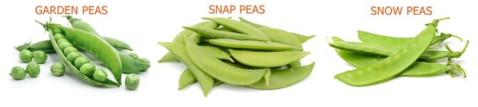 Identifying Different Types of Peas