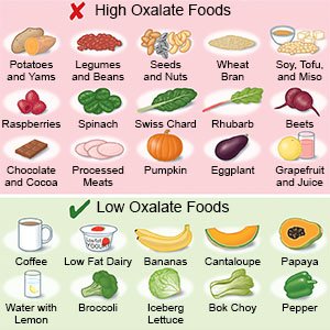 Low Oxalate Foods to Plant with Peppers: A Comprehensive Guide
