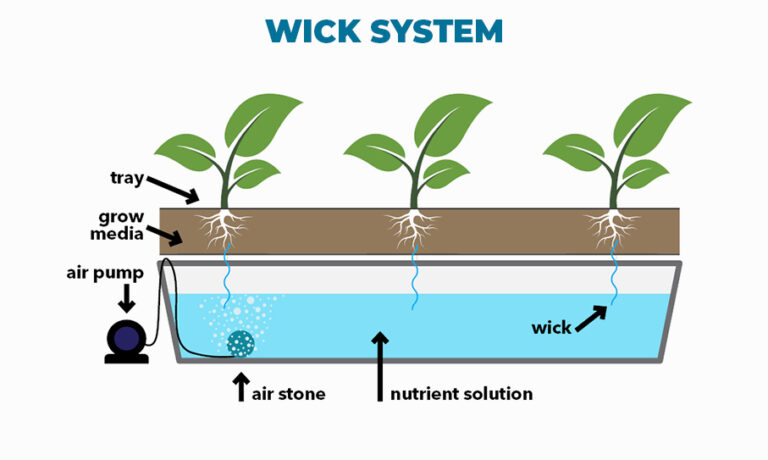 Wick Hydroponic System: Pros and Cons Revealed